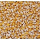 Popcorn mix majs, salt og kokos fedt spand - rækker til ca. 80-100 liter popcorn
